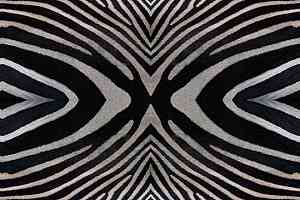 Ковролин Flotex Vision Image 000402 Zebra фото  | FLOORDEALER